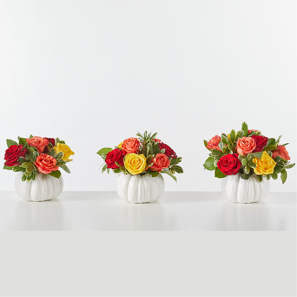 Gourd of Gratitude – BLAKELEE'S BOUQUETS, Birmingham AL