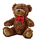 Adorable Plush Bear – BLAKELEE'S BOUQUETS, Birmingham AL