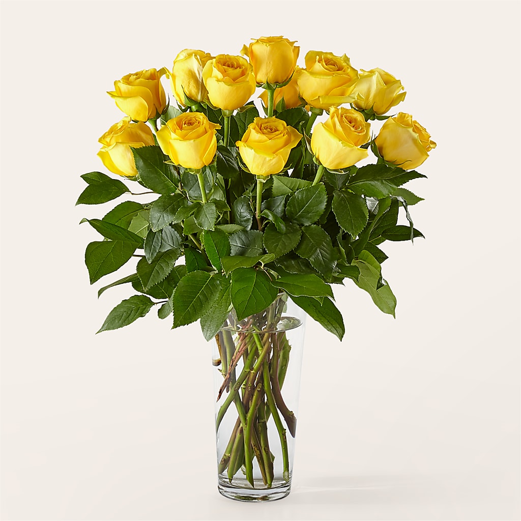 Long Stem Yellow Rose Bouquet – BLAKELEE'S BOUQUETS, Birmingham AL