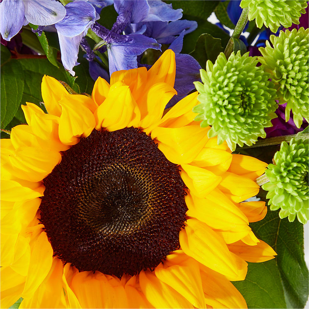 Catching Rays Bouquet – BLAKELEE'S BOUQUETS, Birmingham AL