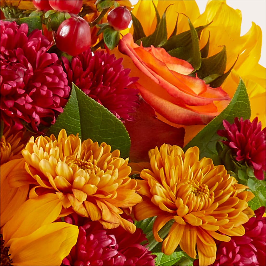 Sweater Season - A Florist Original – BLAKELEE'S BOUQUETS, Birmingham AL