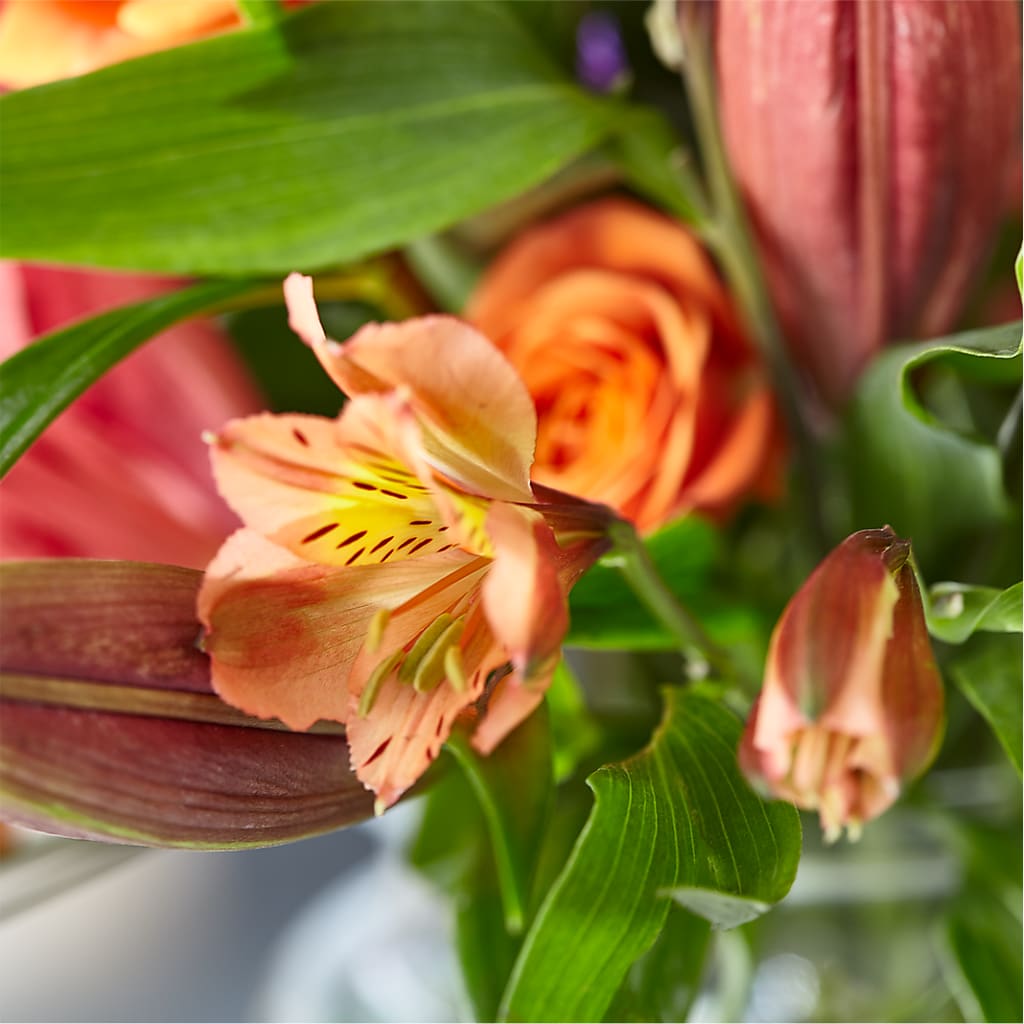 Bold & Bright – A Florist Original – BLAKELEE'S BOUQUETS, Birmingham AL