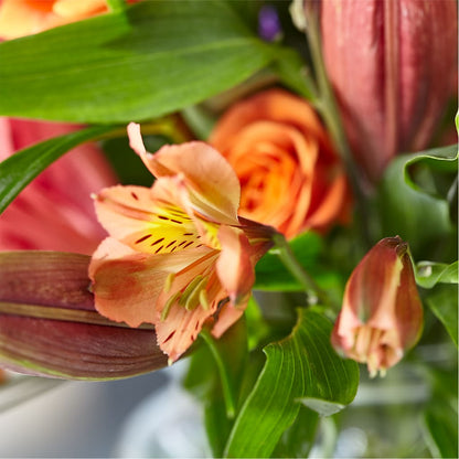Bold & Bright – A Florist Original – BLAKELEE'S BOUQUETS, Birmingham AL