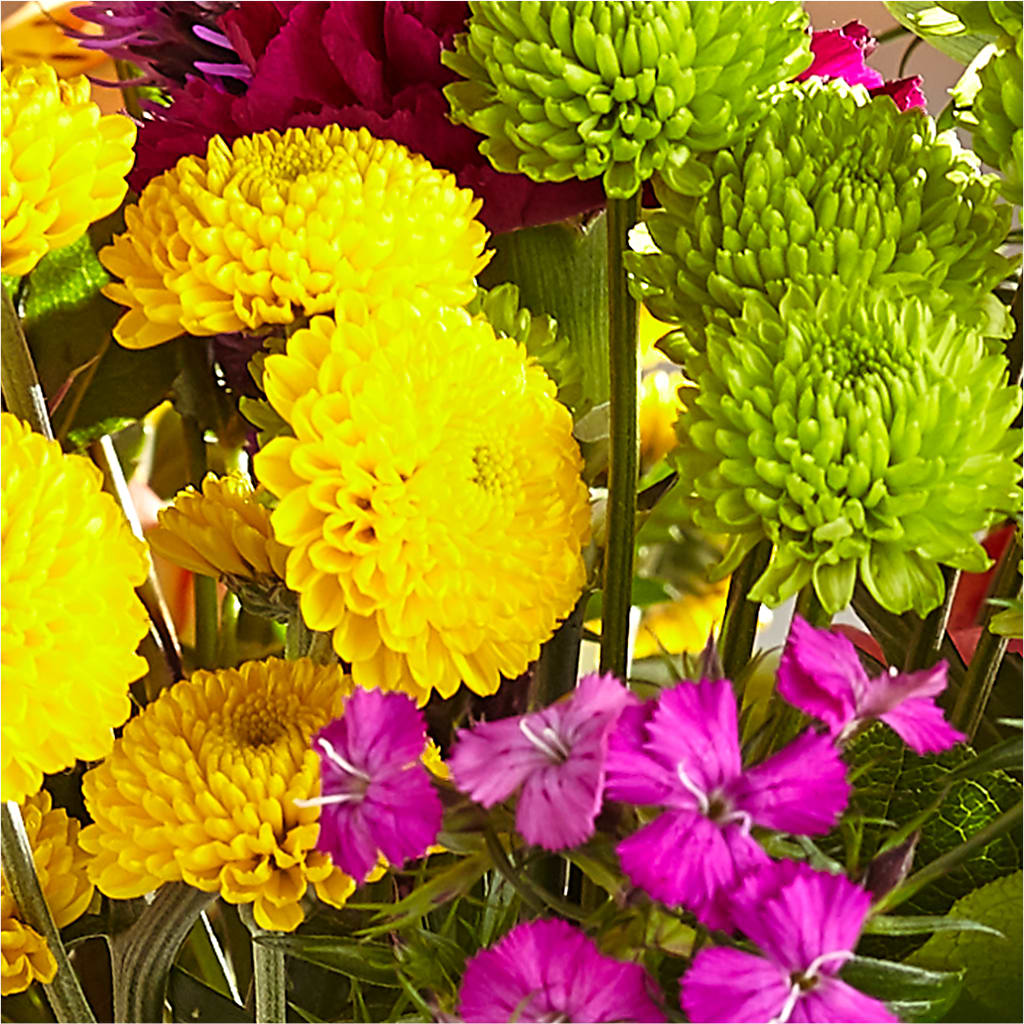 Bold & Bright – A Florist Original – BLAKELEE'S BOUQUETS, Birmingham AL