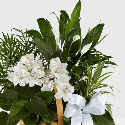 Peace & Serenity Dishgarden – BLAKELEE'S BOUQUETS, Birmingham AL