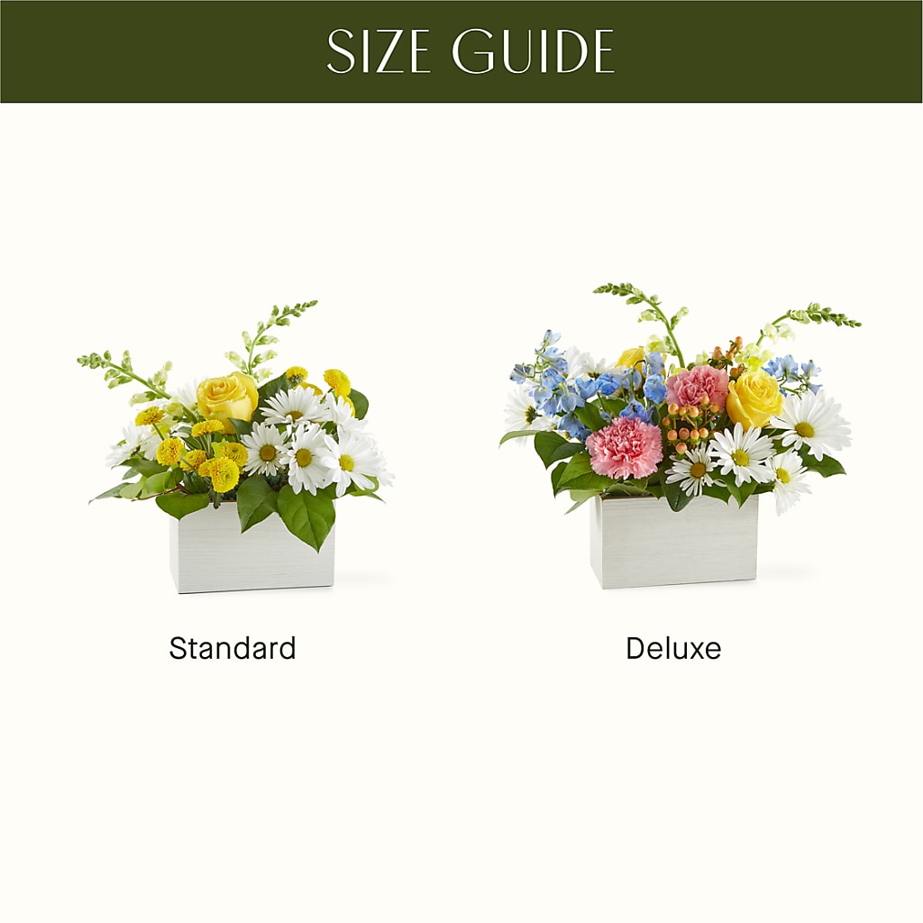 Sun Salutation Box Bouquet – BLAKELEE'S BOUQUETS, Birmingham AL