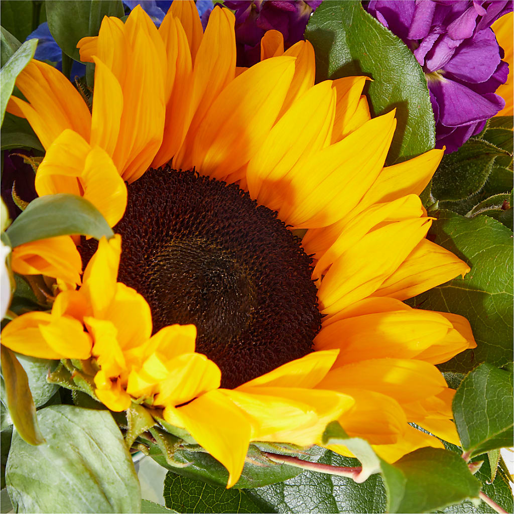 Catching Rays Bouquet – BLAKELEE'S BOUQUETS, Birmingham AL