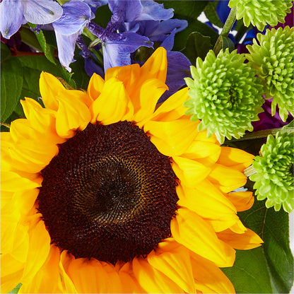 Catching Rays Bouquet – BLAKELEE'S BOUQUETS, Birmingham AL