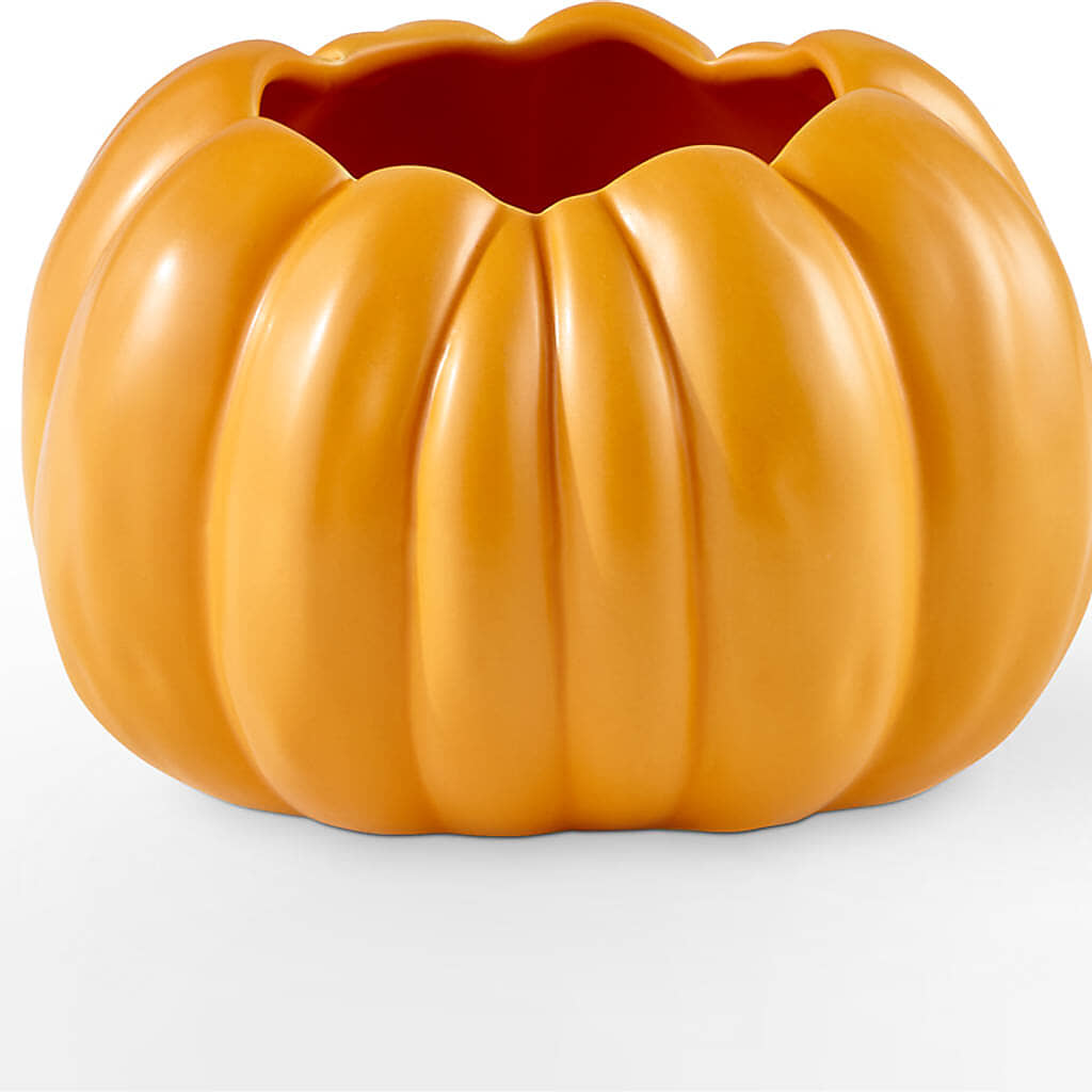 Pick of the Patch Pumpkin Bouquet – BLAKELEE'S BOUQUETS, Birmingham AL