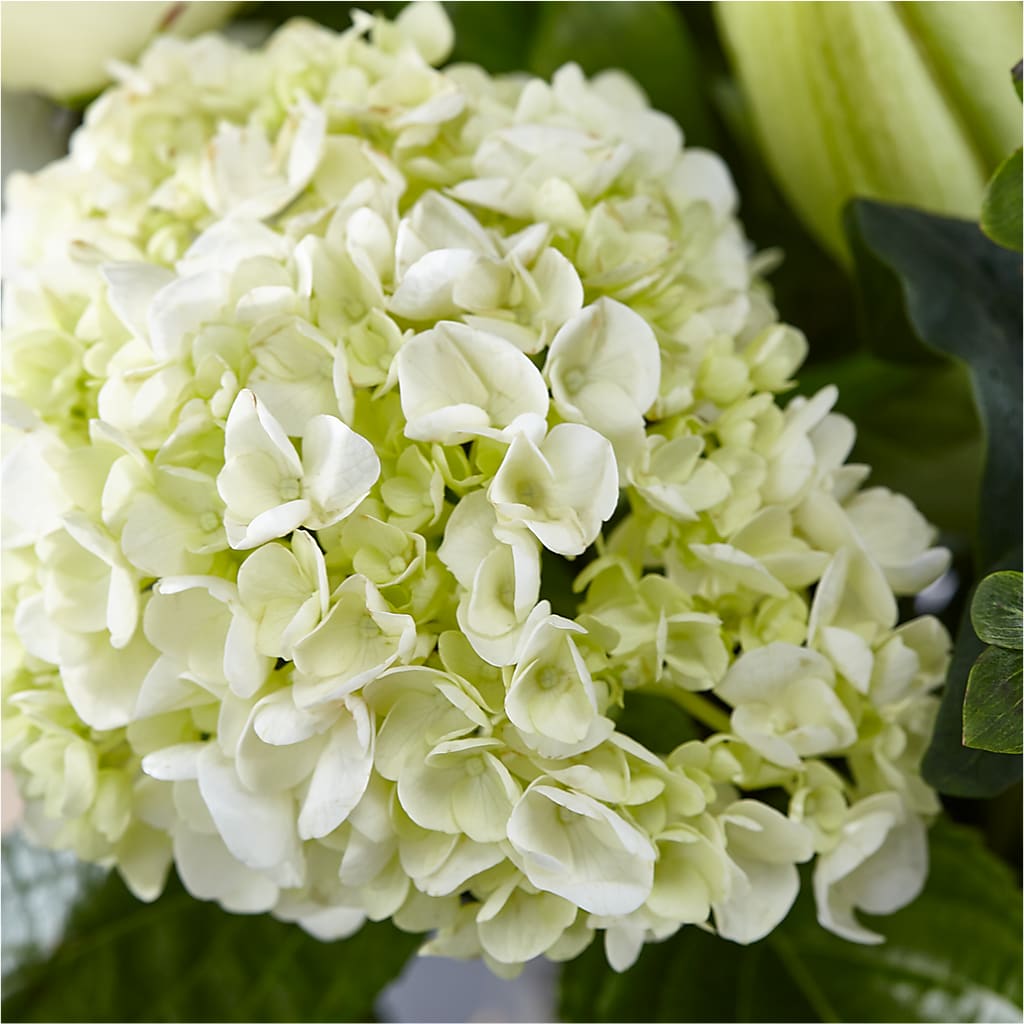 Classic Ivory – A Florist Original – BLAKELEE'S BOUQUETS, Birmingham AL