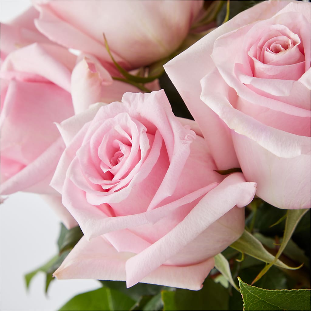 Picture Perfect Pink Rose Bouquet – BLAKELEE'S BOUQUETS, Birmingham AL