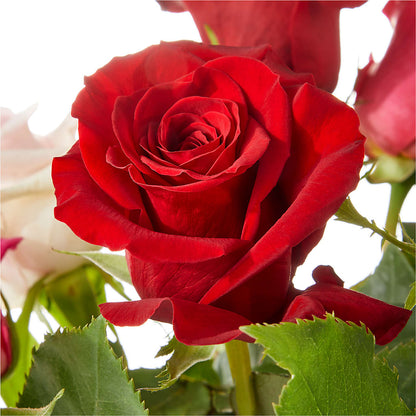 Love Notes Rose Bouquet – BLAKELEE'S BOUQUETS, Birmingham AL